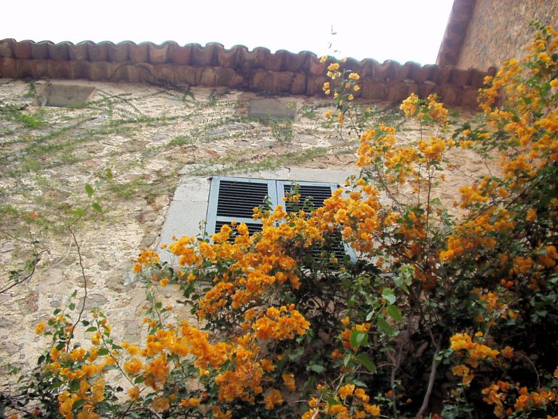 ショパンがジョルディ・サンドと過ごした修道院のあるバルデモーサ村