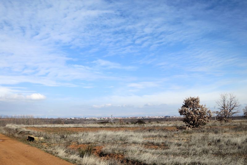 サンティアゴ・デ・コンポステーラ巡礼路での乾いた大地